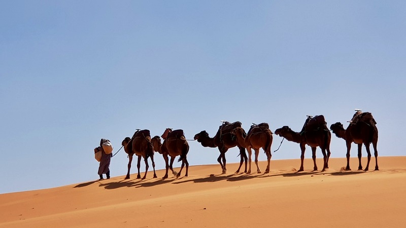 モロッコの砂漠